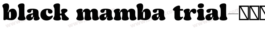 black mamba trial字体转换